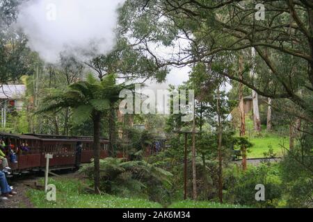 Puffing Billy - Australiens einzigartige Steam Railway, die durch die schönen Wälder und Landschaften fließt Stockfoto