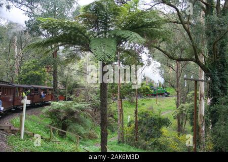 Puffing Billy - Australiens einzigartige Steam Railway, die durch die schönen Wälder und Landschaften fließt Stockfoto