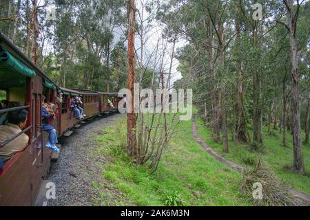 Puffing Billy - Australiens einzigartige Steam Railway, die durch die schönen Wälder und Landschaften fließt Stockfoto