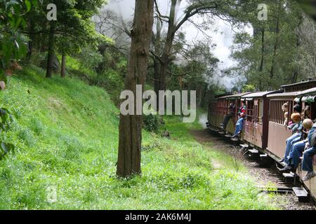 Puffing Billy - Australiens einzigartige Steam Railway, die durch die schönen Wälder und Landschaften fließt Stockfoto