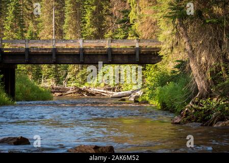 Ein Blick auf eine hölzerne Brücke über einen Berg, Fliegenfischen Fluss fließt durch eine dichte, grüne, Wald bei Sonnenaufgang im nördlichen Idaho Kiefer. Stockfoto