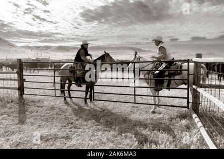 WY 04134-00-BW.... WYOMING - Cowboys zu einem Vieh Runden auf dem Willow Creek Ranch. Stockfoto