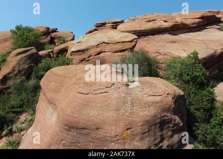 Große rote Felsen Sandstein Felsformationen mit Bäumen wachsen in den Spalten der Felsen auf der Trading Post Trail in Red Rocks Park, Colorado, USA Stockfoto