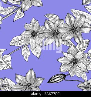 Nahtlose Muster mit Clematis. Hand gezeichnet. Grafik. Stockfoto