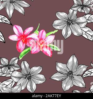 Nahtlose Muster mit Clematis. Hand gezeichnet. Grafik. Stockfoto