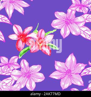 Nahtlose Muster mit Clematis. Hand gezeichnet. Grafik. Stockfoto