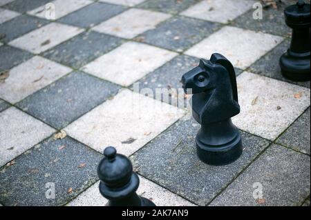 Schach Abbildung der schwarzen Pferd auf großen Schachbrett. Stockfoto