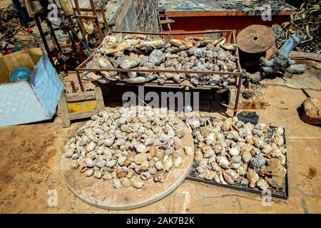 Viele Arten von Muscheln liegen auf einer staubigen Straße auf der Insel Goree, Senegal, Afrika. Stockfoto