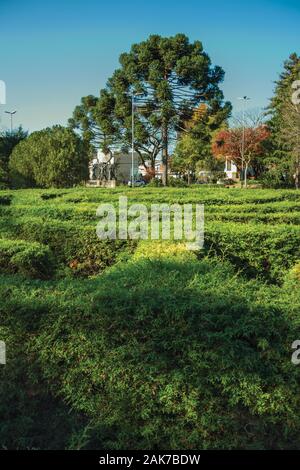 Labyrinth der immergrünen Sträucher in einem bewaldeten Garten an einem sonnigen Tag bei Nova Petrópolis. Eine Stadt, die von deutschen Einwanderern im südlichen Brasilien gegründet. Stockfoto