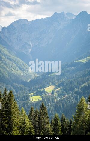 Blick über Tal Logarska Tal Berg Kamnik - Savinja-alpen in Slowenien, Europa Stockfoto