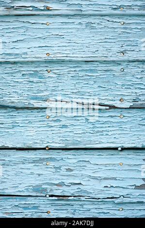 Texturierte close-up von verwittertem Blau Lack Risse und Peeling auf die Latten einer Holz Wand Stockfoto