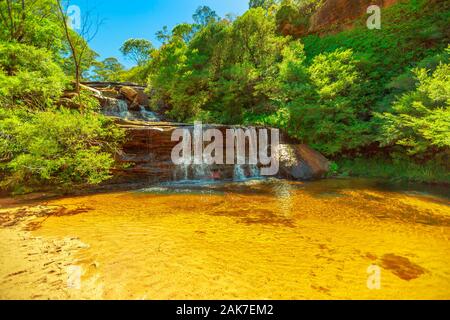 Wentworth Falls, obere Partie der Blue Mountains in den Blue Mountains National Park in der Nähe von Sydney, New South Wales, Australien. Stockfoto