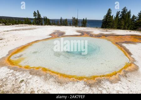 Die Thermalquellen in West Thumb Geyser Basin in Yellowstone National Park, Wyoming, USA Stockfoto