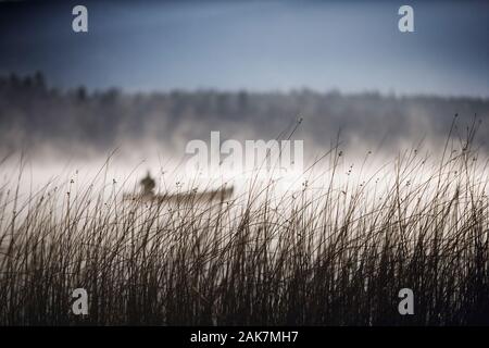 Mann im Kanu auf dem nebligen See Stockfoto