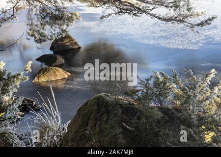 Frosted Bäume und Eis auf Loch Garten im Cairngorms Nationalpark von Schottland. Stockfoto