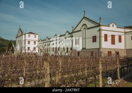 Reihen von Blattlosen Weinstock Trunks vor der Salton Weingut Headquarter in der Nähe von Bento Goncalves. Ein Wein produzierenden Land Stadt im Süden Brasiliens. Stockfoto