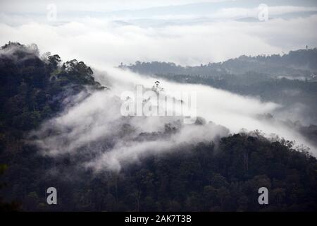 Neblige Landschaften in Munnar, Indien. Stockfoto