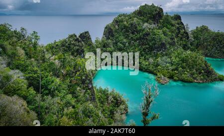 Pianemo Inseln, die Blaue Lagune mit grünen Felsen, Raja Ampat, West Papua. Indonesien Stockfoto