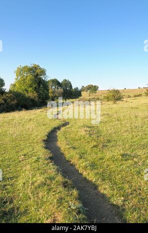 Farthing Downs, Teil der South London Downs National Nature Reserve, bestehend aus 121 Hektar Landschaft entlang der Grenze von Surrey und Croydon, Großbritannien Stockfoto