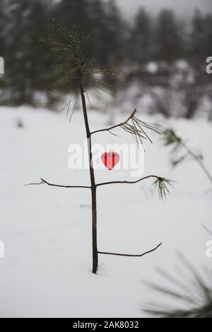 Eine junge einsame Kleine Tanne mit einem Herzförmigen Weihnachtsverzierung auf seiner Niederlassung im Schnee Wald bedeckt Stockfoto