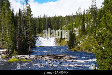 Einen weiten Blick von Lewis fällt im Yellowstone National Park zeigt die Größe und Kraft von den Wasserfällen und dem Fluss beladen mit umgestürzten Bäumen. Stockfoto