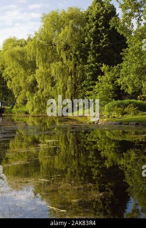 Teich im Frühling, Centre de la Nature, Saint-Vincent-de-Paul, Laval, Quebec, Kanada. Stockfoto