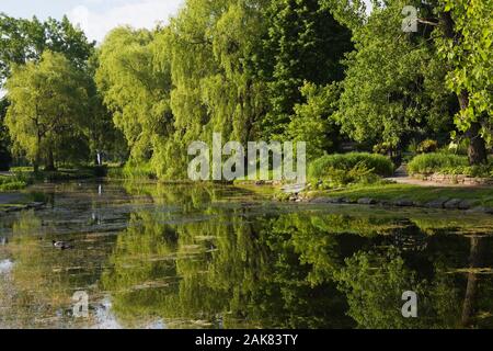 Teich im Frühling, Centre de la Nature, Saint-Vincent-de-Paul, Laval, Quebec, Kanada. Stockfoto