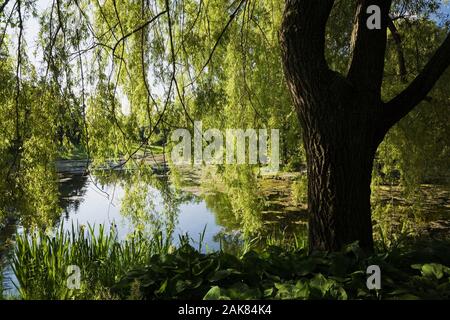 Teich durch Äste im Frühling, Centre de la Nature, Saint-Vincent-de-Paul, Laval, Quebec, Kanada. Stockfoto