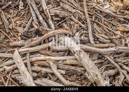 Treibholz am Strand, abstrakten Hintergrund natürliche grunge Textur, Küsten Natur Hintergrund, drift wood Angeschwemmte von Ocean am Strand Meer. Stockfoto
