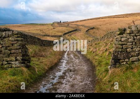 Hügelwanderweg entlang einer alten Gasse oberhalb von Helifield in Craven Teil des Yorkshire Dales Nationalparks Stockfoto