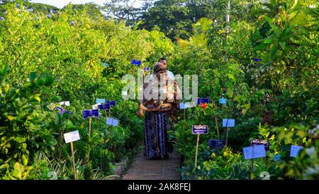 Besucher im Monat - lange Nationale Baum Fair an der Sher-e-Bangla Nagar in Dhaka, Bangladesh. Stockfoto