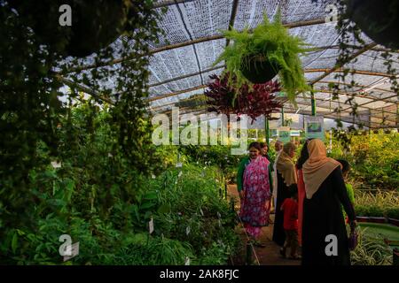 Besucher im Monat - lange Nationale Baum Fair an der Sher-e-Bangla Nagar in Dhaka, Bangladesh. Stockfoto