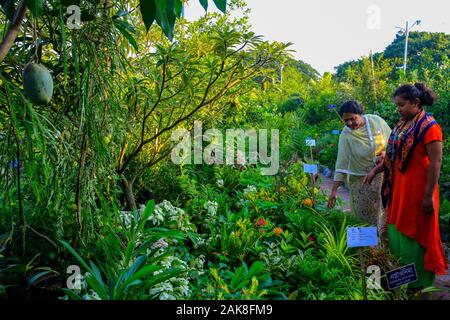 Besucher im Monat - lange Nationale Baum Fair an der Sher-e-Bangla Nagar in Dhaka, Bangladesh. Stockfoto