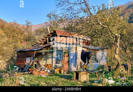 Marode alte Haus unter den Apple Orchard in der Highland im Herbst Saison Stockfoto