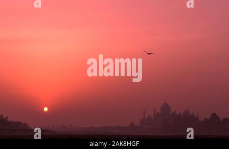 Silhouetten der majestätischen alten Taj Mahal Tempel und einem Soaring Eagle auf dem Hintergrund der rosa Himmel bei Sonnenaufgang; UNESCO Welterbe, Bank der Yamu Stockfoto