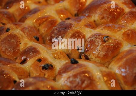 Hot Cross Buns gerade aus dem Ofen Stockfoto