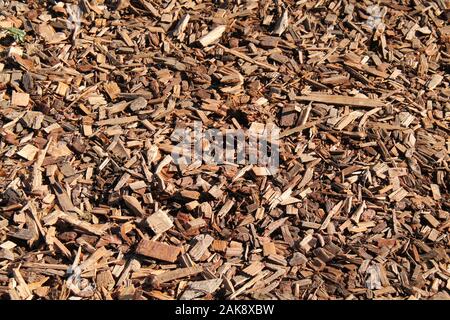 Ein frisch gelegte Schicht der Großen Garten Rinde, Hackschnitzel. Stockfoto