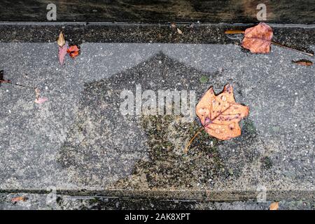 Regnerische Szene mit Wasser auf einem städtischen Boden mit einige Blätter im Herbst Stockfoto