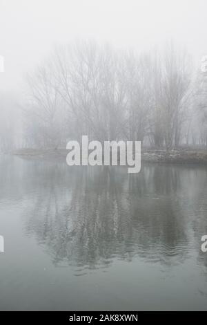 Neblige Landschaft über einen Fluss Wasser Reflexion von blattlosen Bäume auf einem kalten Winter Szene Stockfoto