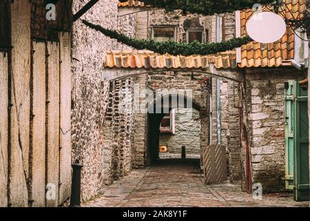 Tallinn, Estland. Alte Grabsteine in St. Catherine's Passage von St. Catherine's Dominikanerkloster. Historische Altstadt von Tallinn. UNESCO Stockfoto