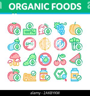 Bio Eco Lebensmittel Sammlung Icons Set Vector Stock Vektor