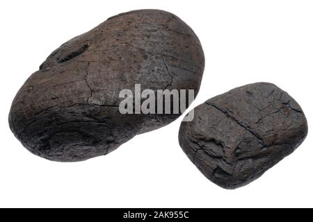 Welle abgenutzt Chunks von Kohle, die wie Steine am Strand suchen. Getragen durch das Meer glatt, aber die Struktur behalten und Burn-Fähigkeit von Kohle. Stockfoto