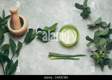 Eine Dose Aloe Gel neben einem Aloe Zweig und Eukalyptus Blätter. Flach. Das Konzept der Hautpflege, natürliche Inhaltsstoffe. Aloe vera Saft, frische Blätter Stockfoto