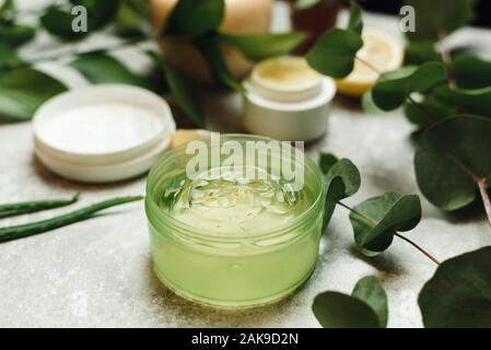 Eine Dose Aloe Gel neben einem Aloe Zweig und Eukalyptus Blätter. Das Konzept der Hautpflege, Liebe für Ihren Körper, natürlichen Zutaten. Hintergrund mit nat Stockfoto