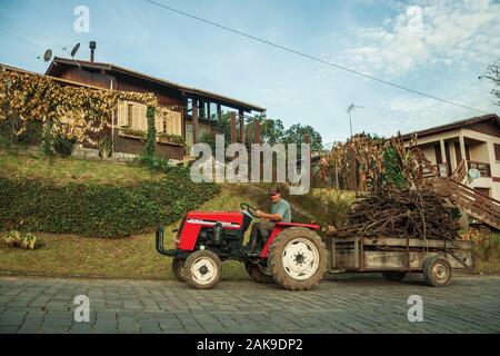 Tractor Pulling Warenkorb mit Gestrüpp auf einem Stein Straße, neben einem Wald Haus in der Nähe von Bento Goncalves. Ein Wein produzierenden Land Stadt im Süden Brasiliens. Stockfoto