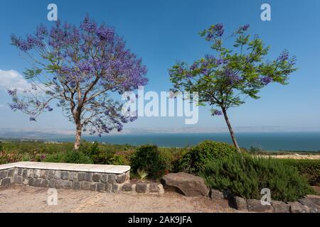 Blick von der schönen Tibériade See in Israel Stockfoto