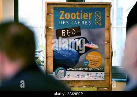 08. Januar 2020, Mecklenburg-Vorpommern, Marlow: Bei einer Veranstaltung in der Vogelpark, der Bea ist Zoo Tier des Jahres 2020 gewählt. Die Bevölkerung der Bea in Asien in den letzten Jahren erheblich zurückgegangen ist, und einige Arten sind vom Aussterben bedroht, die Zoologische Gesellschaft für Arten und Bevölkerung Erhaltung (ZGAP) erläuterte die Entscheidung. Foto: Bernd Wüstneck/dpa-Zentralbild/dpa Stockfoto