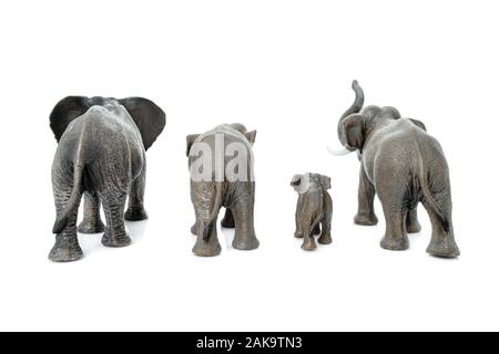 Elefantenfamilie. Rückseite der Elefant auf weißem Hintergrund. Stockfoto