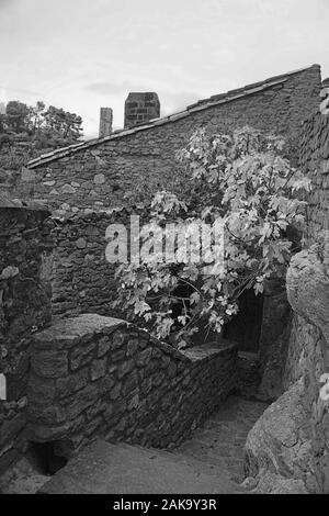 Backstreet (Rue du Porche) mit gepflasterten Schritte in der alten Katharer Dorf Minerve, Hérault, Royal, Frankreich. Schwarz und Weiss Stockfoto