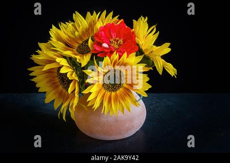 Eine Anordnung von Sonnenblumen und zinnien aus dem heimischen Garten in einem knopfloch Glas Vase gesammelt. Stockfoto